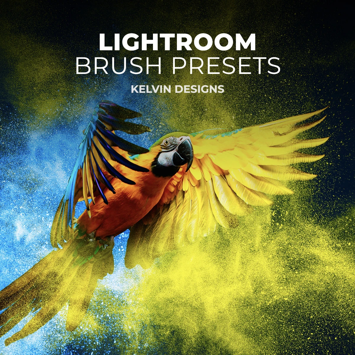 Lightroom Brush Presets<