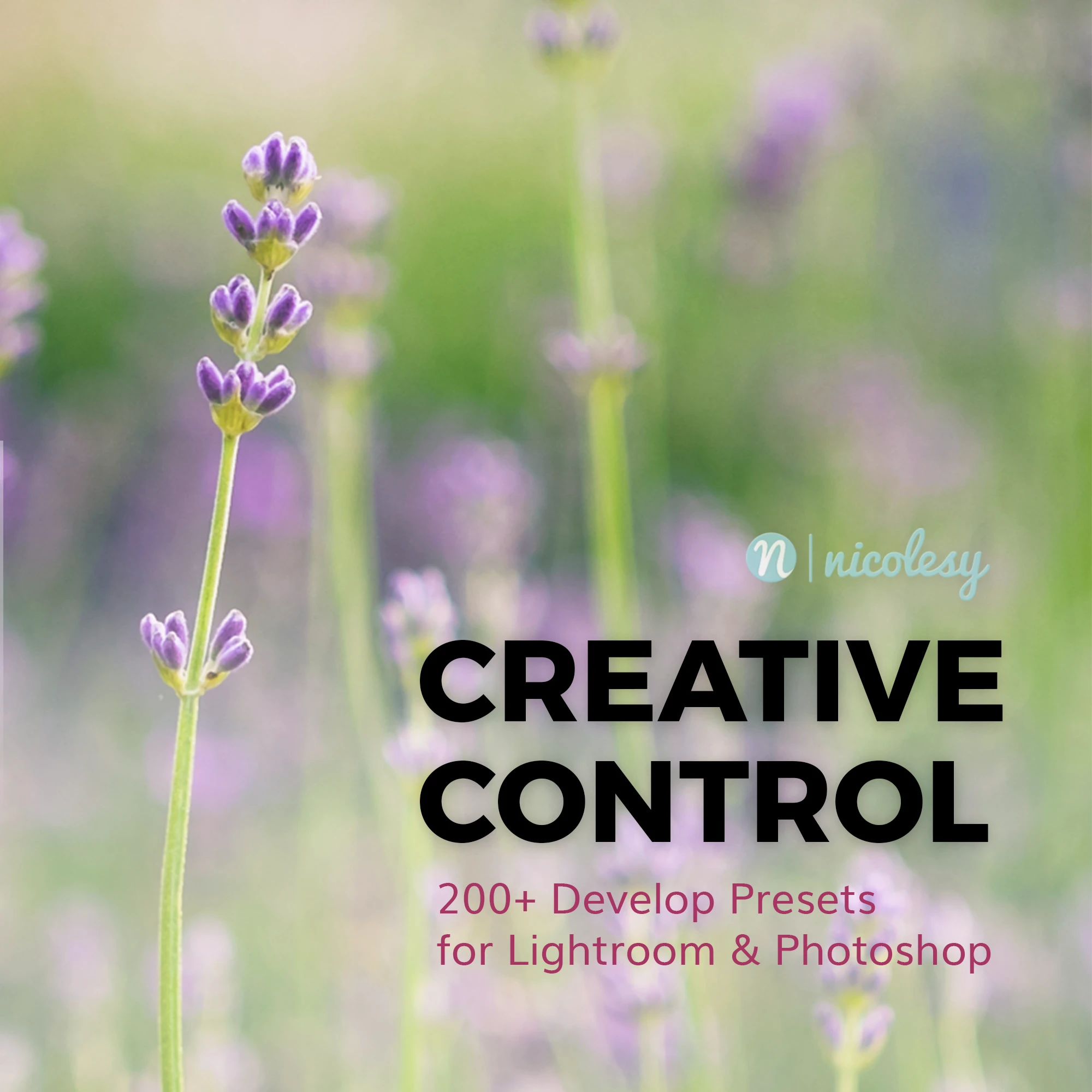 Creative Control 1 & 2<