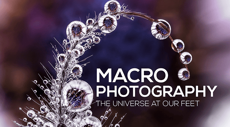 Macro Photography – The Universe at Our Feet<