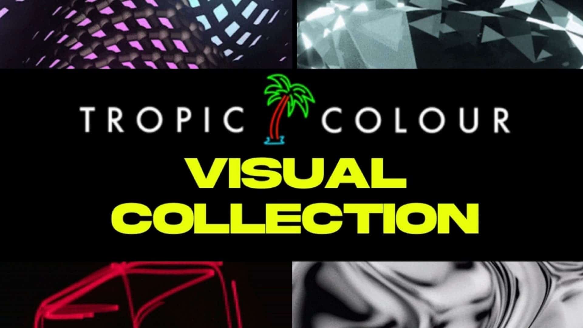 Visual Collection<