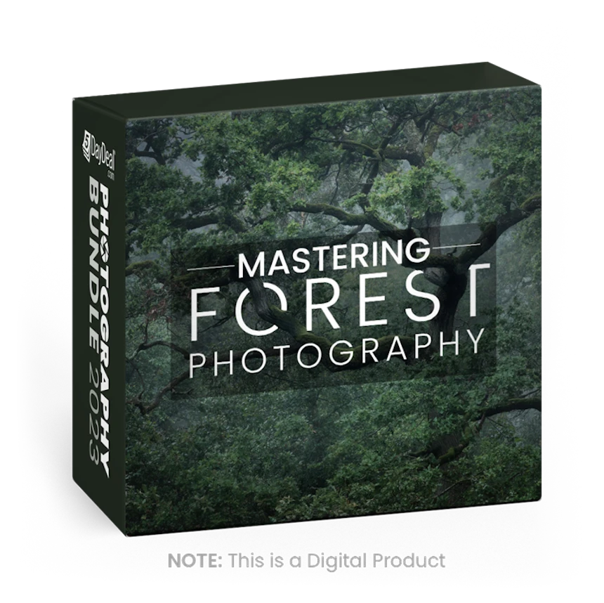 Mastering Forest Photography<