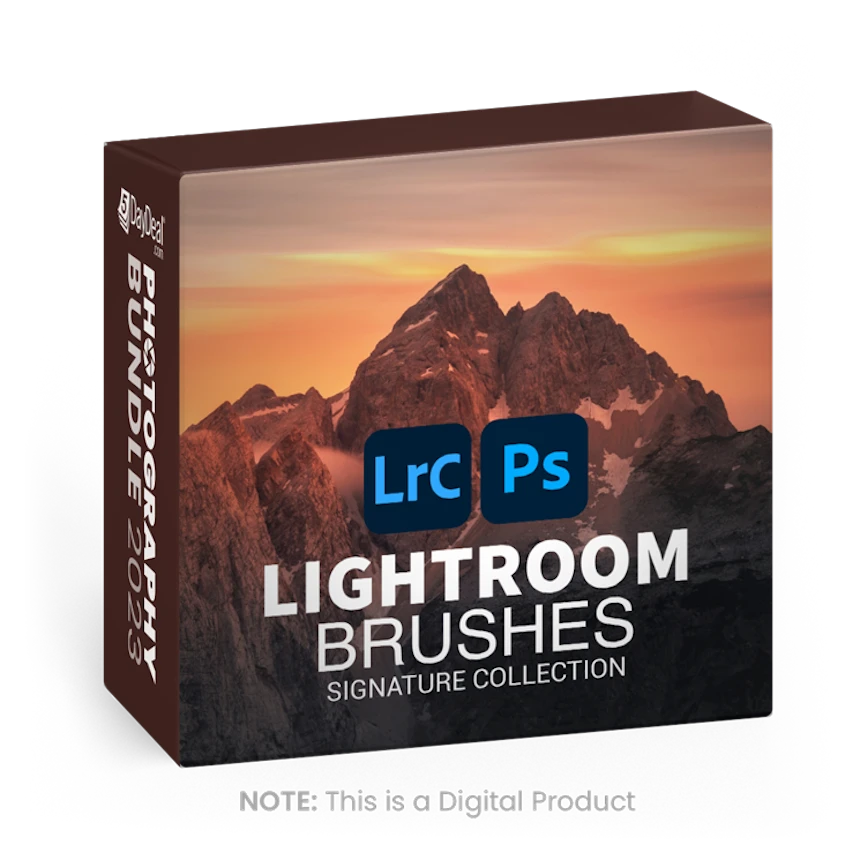 Signature Lightroom Brushes<