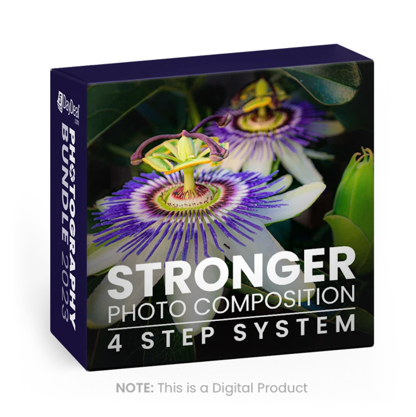 Stronger Photo Composition 4-Step System<