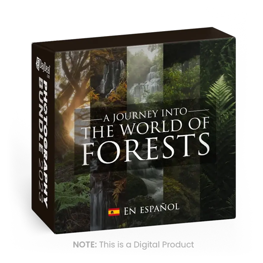 A Journey Into the World of Forests ESP<