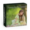 Painterly Primrose