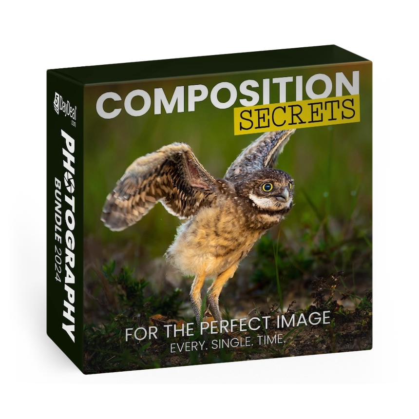 Composition Secrets for the Perfect Image<