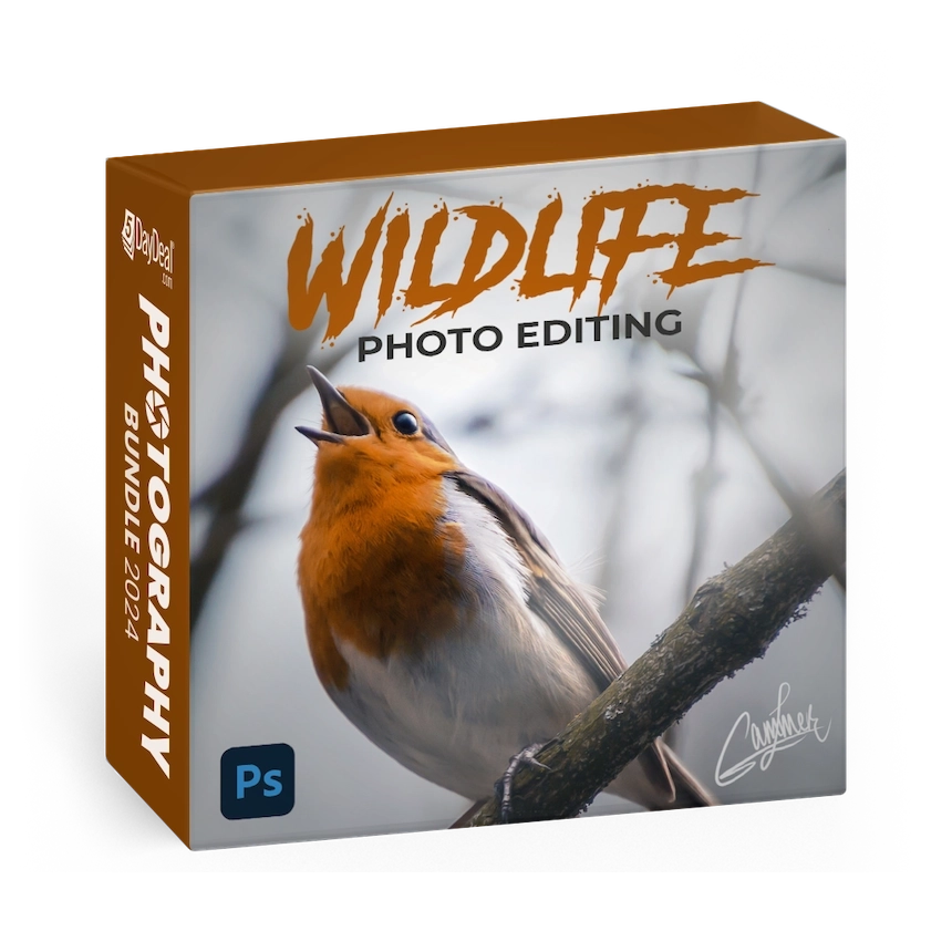 Wildlife Photo Editing [STREAMING ONLY]<